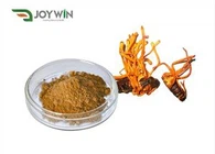 Cordyceps Militaris ekstrakt Cordycepin