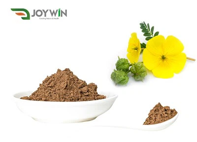 Tribulus pulver
